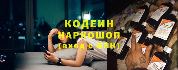 СК Кодинск
