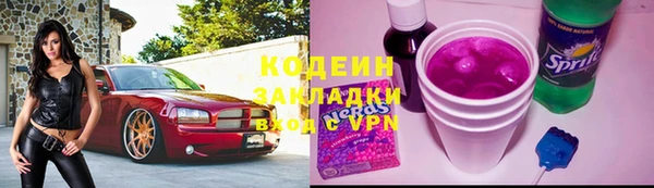 СК Кодинск