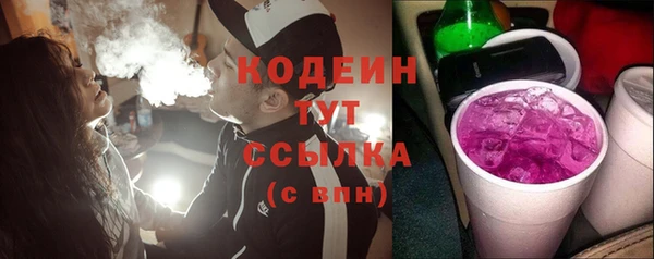 СК Кодинск