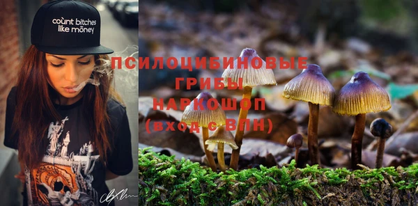 марки nbome Козельск