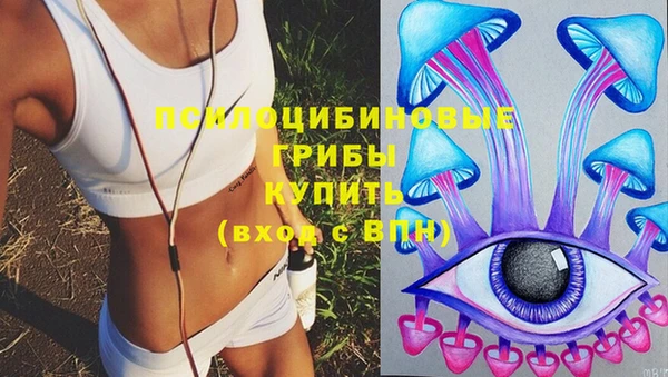 марки nbome Козельск